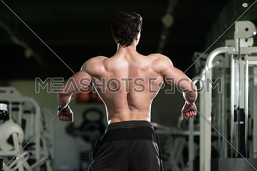Male fitness model, bodybuilder back pose on black background Stock Photo |  Adobe Stock